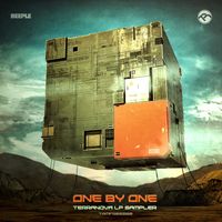 oneBYone - Terranova (sampler)