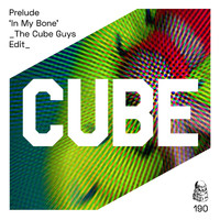 Prelude - In My Bone (The Cube Guys Edit)