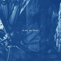 Evitceles - Ring Of Dust
