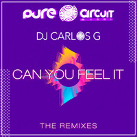 DJ Carlos G - Can You Feel It