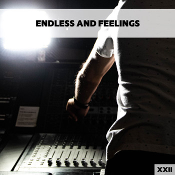 Various Artists - Endless And Feelings XXII