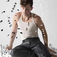 Charlie Puth - I Don’t Think That I Like Her