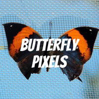 Taqin 018 - Butterfly pixels
