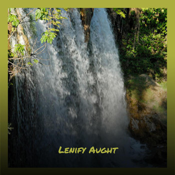 Various Artists - Lenify Aught