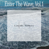 Various Artists - Enter The Wave, Vol.1