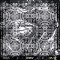 Trip B - DIFFERENT