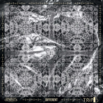 Trip B - DIFFERENT