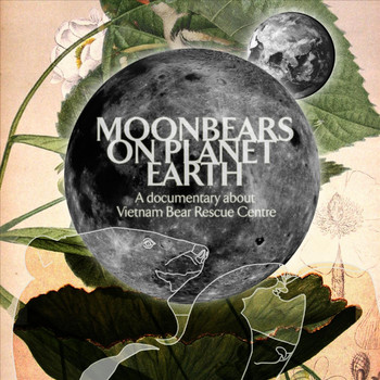Lackluster - Moonbears on Planet Earth (Original Soundtrack)