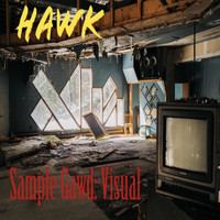 Hawk - Sample Gawd: Visual (Explicit)