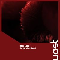 Max Lake - The Star Is Born (Remix)