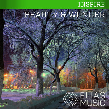 Various Artists - Beauty And Wonder
