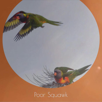 Various Artists - Poor Squawk