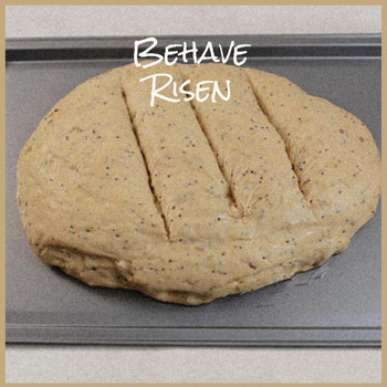 Various Artists - Behave Risen