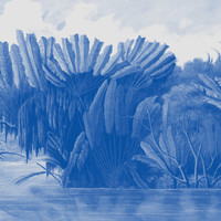 Xique-Xique - Na Lagoa (Remixes)