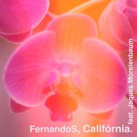 FernandoS feat. Jaques Morelenbaum - Califórnia.