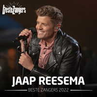 Jaap Reesema - Beste Zangers 2022 (Jaap Reesema)