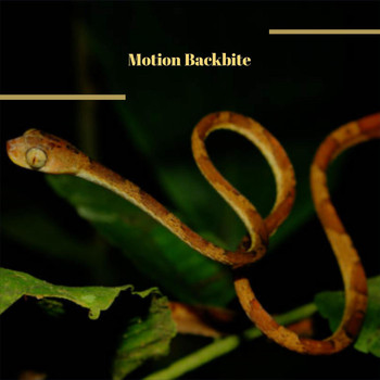 Various Artists - Motion Backbite