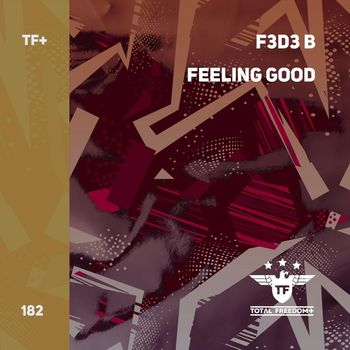 F3d3 B - Feeling Good