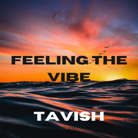 Tavish - Feeling the Vibe