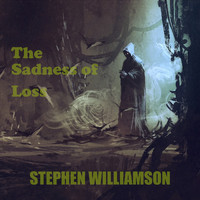 Stephen Williamson - The Sadness of Loss
