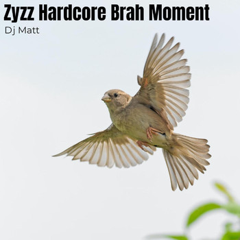 DJ Matt - Zyzz Hardcore Brah Moment (Explicit)