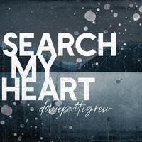 Dave Pettigrew - Search My Heart
