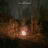 Poirier - Soft Power (Remixes)