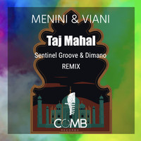 Menini & Viani - Taj Mahal