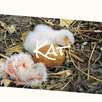 Various Artists - Kat