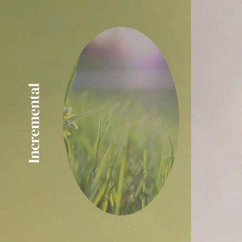 Various Artists - Incremental