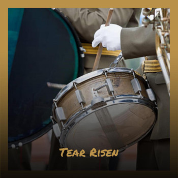Various Artists - Tear Risen
