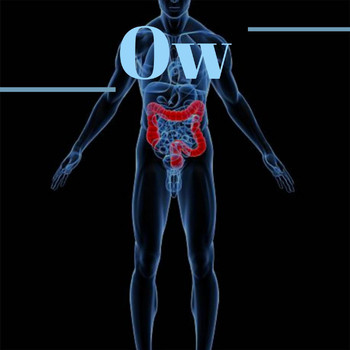 Various Artists - Ow