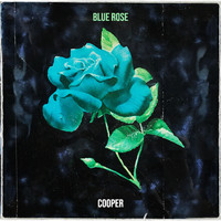 Cooper - Blue Rose
