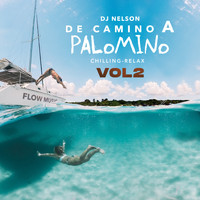 DJ Nelson - De Camino a Palomino, Vol. 2 (Explicit)