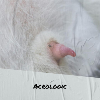 Various Artists - Acrologic