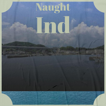 Various Artists - Naught Ind