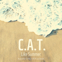 C.A.T. - Like Summer (Beautiful Chill out Cocktails)