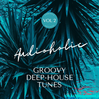 Various Artists - Audioholic (Groovy Deep-House Tunes), Vol. 2