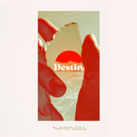 Serval - Destin