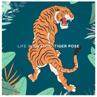 Life in Analog - Tiger Pose