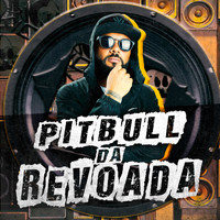 DJ Kio - PITBULL DA REVOADA
