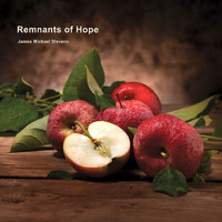 James Michael Stevens - Remnants of Hope