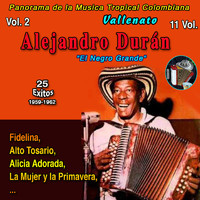 Alejandro Durán - Panorama de la Musica Tropical Colombiana 11Vol (Vol. 2 - Alejandro Duran - "El Negro Grande" - Fidelina - 25 Exitos - 1959-1962 [Explicit])