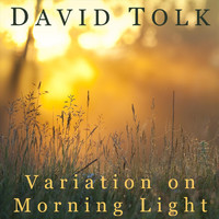 David Tolk - Variation on Morning Light