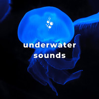 Underwater World - Underwater Sounds with No Music