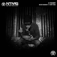 K Theory feat. Terry Mak - Never Known