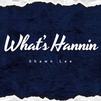 Shawn Lee - What's Hannin (Explicit)