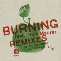 DJ T. feat. Nick Maurer - Burning