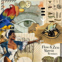 Flow & Zeo - Maresia (Remixes)