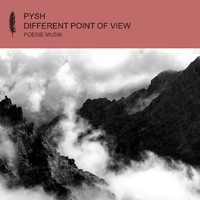 Pysh - Different Point of View